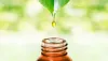  Best Essential and Electric Oil Diffuser at Home  | Today US 