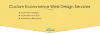 custom ecommerce web design services