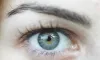 Invest In Quality Lash Supplies For Beautiful &amp; Long Lasting Results  | Blush