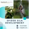Spider Silk Development - JustPaste.it