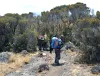 Mount Kilimanjaro | Machame Route | UFO Adventure Travel