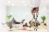 Medical Billing Company in USA | Top Medical Billing Companies in Texas