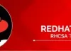 Red Hat - Linux Winter Training Companies in Noida, Noida - Doplim - 333152