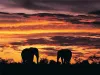 The Most Common Mistakes People Make With zimbabwe attractions
