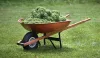 Gardening with garden carts