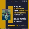 Software development company