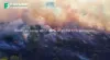 How BME688 and BME AI-Studio Server Help to Detect Wildfires with Bosch