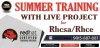 Delhi Summer Training In Noida| Best 6 Months Summer Training In Noida - Free Classifieds