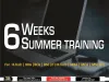        3 Weeks Summer Training in Noida by Training Basket | Dribbble | Dribbble   