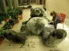 The Making of a Giant Teddy Bear