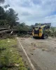 Tree Removal, Stump Grinding, Removal Balnarring Victoria