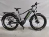 Reasons to Buy Fat Tyre Electric Bike