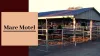 Equine Distress of Horse — Protect Your Horses Inside a Mare Motel