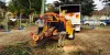 Tree Removal Services and Their Expertise