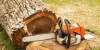 Factors having a major role to play in determining the price of tree removal