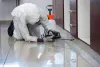 How to prepare for a Professional pest Control Service