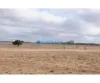 Biggest Smart and Sustainable Greenfield Future City of India - Dholera SIR Ahmedabad - Rackons : Free Classified Ecommerce marketplace