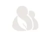 Lender > Cataldo | Kiva