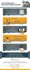 5 Tips To Become A Successful Student In Online Classes | Online Class Helpers