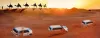 Discover The Best Things to Do in The Desert of Dubai | Dubai Safari Package