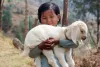 Nepal, the Land of the Mountains – Nepal Luxury Tour