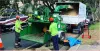 Tree Lopping Sydney North Shore