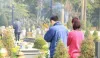 Thăm mộ và lễ cúng: Tôn trọng và biết ơn tổ tiên