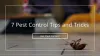 7 Pest Control Tips and Tricks