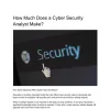 How Much Does a Cyber Security Analyst Make | Pearltrees
