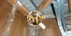 Five Professional Tips To Prevent Termite Infestation In Your Home