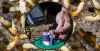 5 things that attract termites to your home