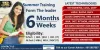 Summer Training Insitute in Noida - Training Basket Institute In Noida