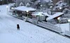 Shimla Manali Tour Packages From Ahmedabad