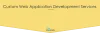 custom web application development services
