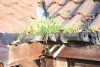 Find Gutter Cleaning Companies Near You - Get Your Free Gutter Cleaning Quote Today