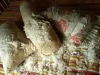 How To Find The Quality Goose Feather Pillows in the Uk 
