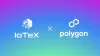 Kết Nối Thực Và Ảo: W3bstream Chung Tay Với Polygon