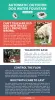 Automatic Dog Water Fountain - Wow Picture | eBaum's World
