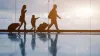 How much does it cost to fly a dog on Lufthansa?