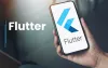 How to Maximize Your Budget with a Flutter App Development Company