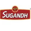 Wholesale Tea Suppliers in India 