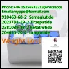 High Purity 99% Semaglutide Weight Loss Injections Peptide CAS No. 910463-68-2 
