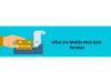 Mobile merchant services