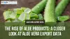 aloe vera export data