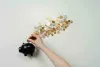 Wealth Management From An Early Age - Why Is It Important?