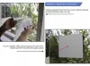 What is Best for your AV Unit: Rear Projection Film