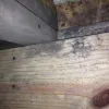 Water Damage Services (Restoration &amp; Repair), Greenville SC | AoS