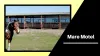 Equine Distress of Horse — Know the Importance of a Mare Motel