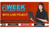 6 Weeks Summer Training Certification in Delhi | Training Basket