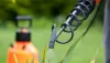Who is Responsible for Pest Control in a Rental Property? | Maiyro